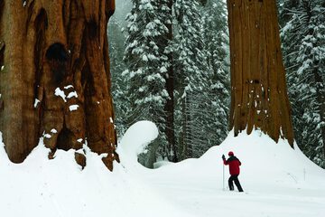 Snowshoeing