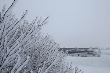 Hotel 6 of 175