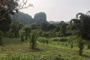 Hiking