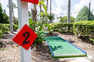 Mini-golf