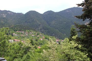 Photo 42