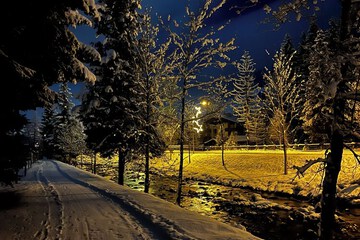 Snowshoeing