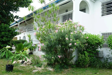 outside