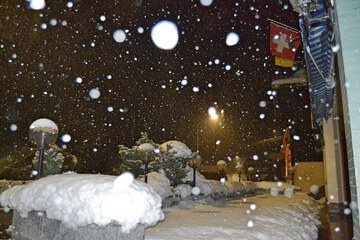 Snowshoeing