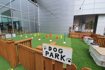 Pet-friendly
