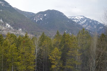 Mountain view
