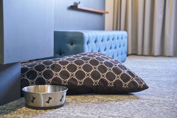 Room amenity