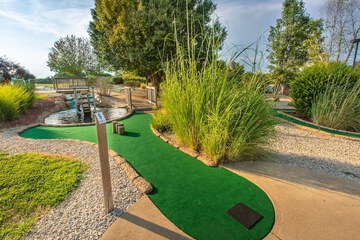 Mini-golf