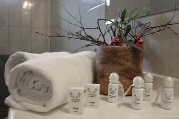 Bathroom amenities