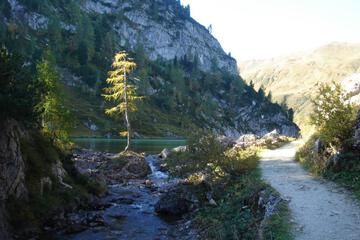 Photo 40