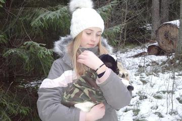 Photo 23