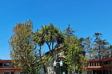 Pet-friendly amenities