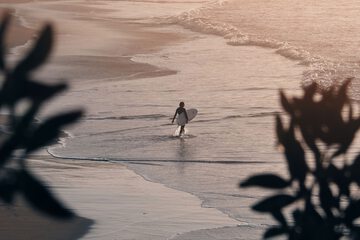 Surfing/boogie boarding