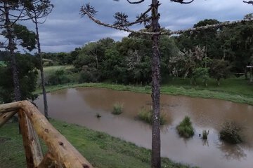 Lake view