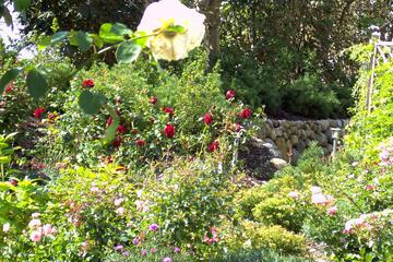 Photo 44