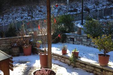 Photo 31