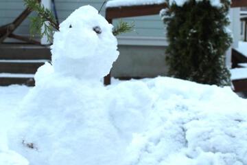 Photo 40