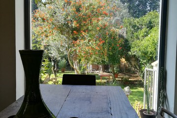 Photo 31