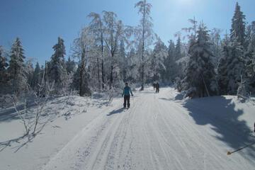 Photo 42