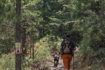 Hiking