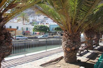 Photo 43