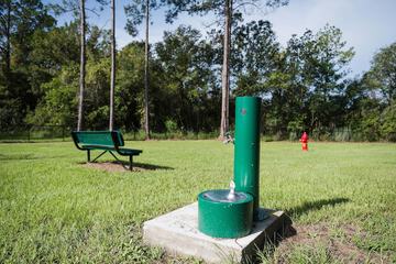 Pet-friendly amenities