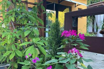 Photo 42