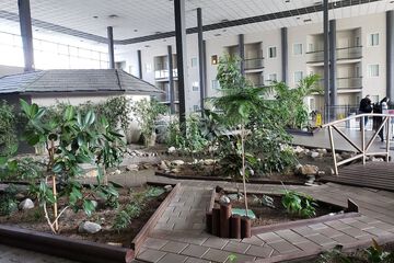 View from room
