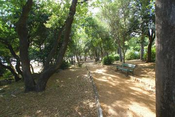 Photo 44