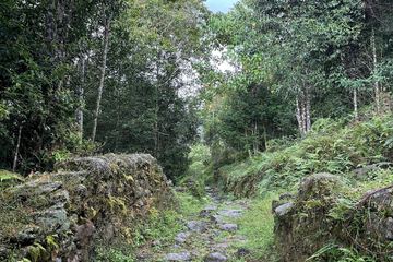 Hiking