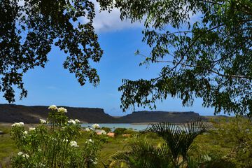 Lake view