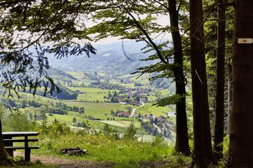 Land view from property