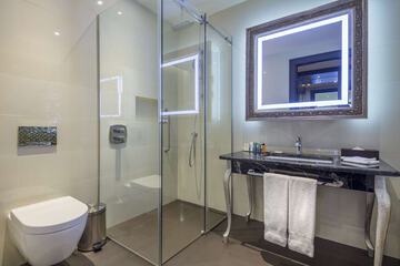 Bathroom shower