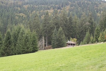 Hiking
