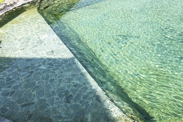 Natural pool