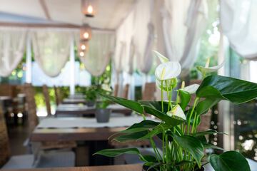 Outdoor banquet area