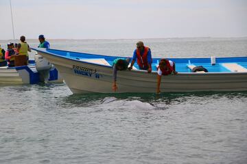 Boating