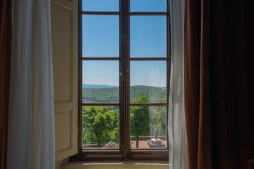 Vineyard view