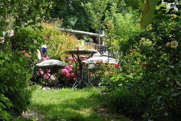 Photo 49