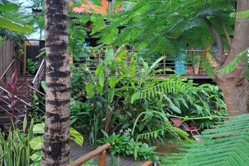 Photo 41