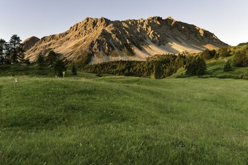 Hiking