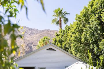 Terrace/Patio 55 of 59