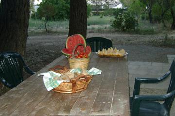 Photo 30
