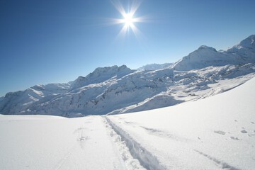 Snowshoeing