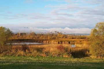 Property Grounds 38 of 39