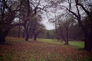 THE INN AT WOODCHUCK HILL FARM 9