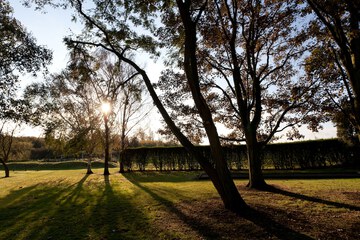 Garden view