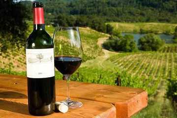 Winery