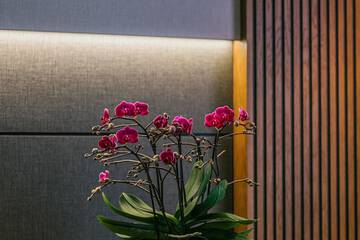Concierge desk