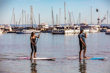 Surfing/boogie boarding